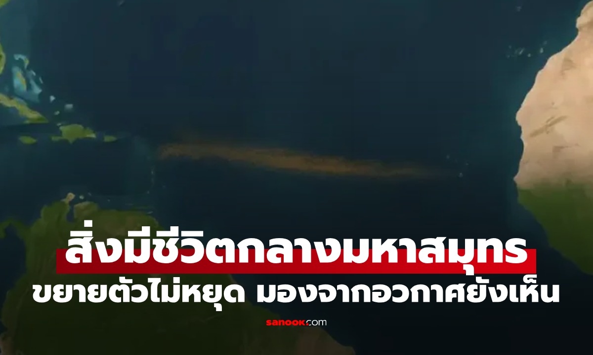 โลกผวา "สิ่งมีชีวิต" ขยายตัวกลางมหาสมุทร ยังหาทางหยุดไม่ได้ มองจากอวกาศยังเห็น