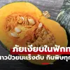 เพชฌฆาตเงียบใน "ฟักทอง" สาววัย 28 ป่วยมะเร็งตับ กินพิษเข้าไปทุกวันโดยไม่รู้ตัว