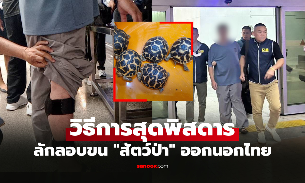 สุดท้ายไม่รอด! รวบ "แก๊งไต้หวัน" ซุกสัตว์ป่าตามร่างกายเตรียมส่งออกนอกประเทศ