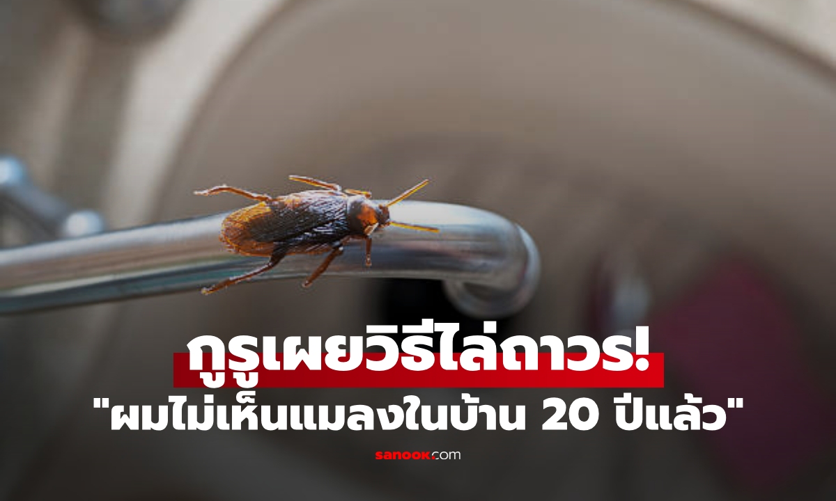 กำจัดแมลงสาบบินได้อย่างไร? อาจารย์เผย "เคล็ดลับ" อยู่บ้านมา 20 ปีไม่เคยเจอเลย!