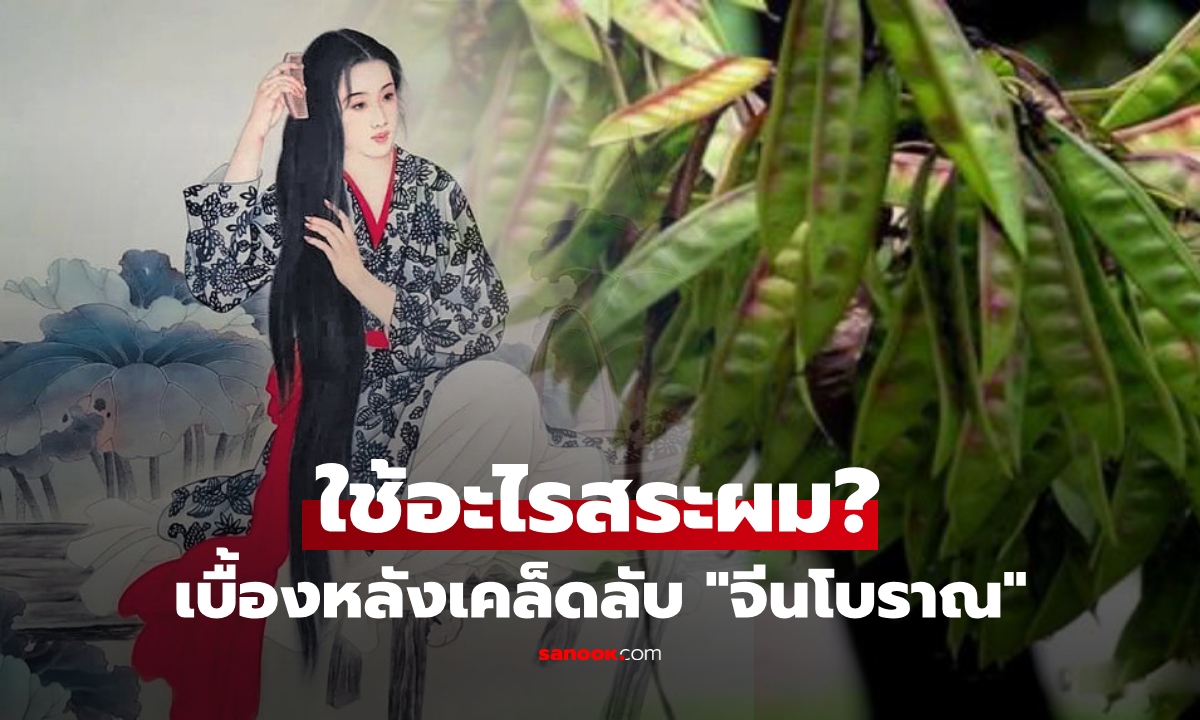 จีนโบราณสระผมยังไงให้ "ดำเงา" แม้ไม่มีแชมพู คนยุคนี้รู้แล้วทึ่ง เบื้องหลังเคล็ดลับความงาม!