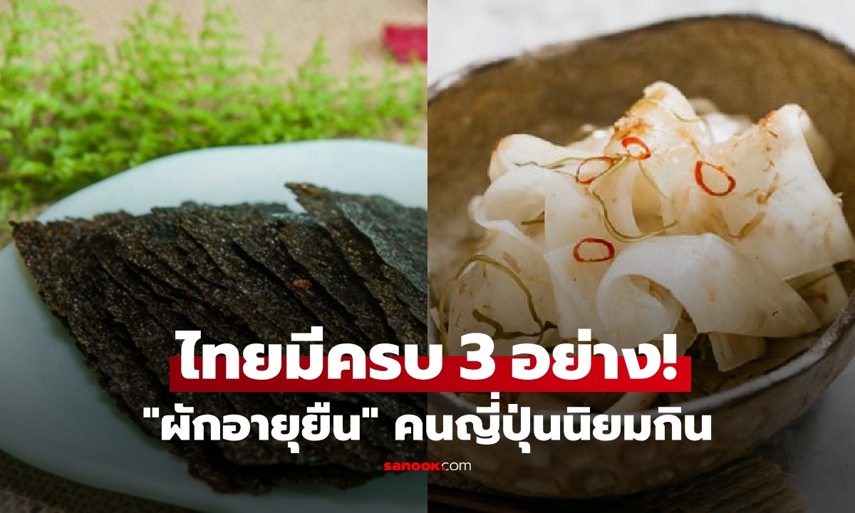 เผย 3 ผัก คนญี่ปุ่นนิยมกิน "เด็กนานและอายุยืน" ตลาดไทยมีไม่เคยขาด และราคาถูกมาก!