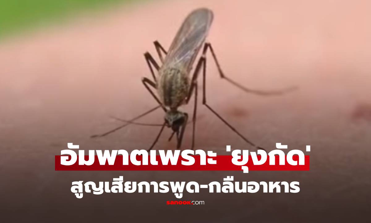 หนุ่ม 23 ว่าที่คุณพ่อ กลายเป็นอัมพาต พูด-กลืนอาหารไม่ได้ อึ้ง! สาเหตุเพราะ 'ยุง'