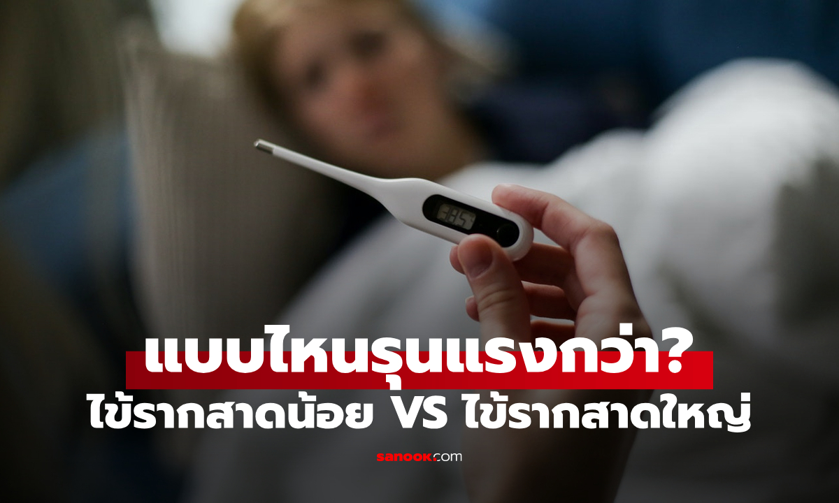 "ไข้รากสาดน้อย" กับ "ไข้รากสาดใหญ่" ต่างกันอย่างไร? แบบไหนอันตรายกว่า?