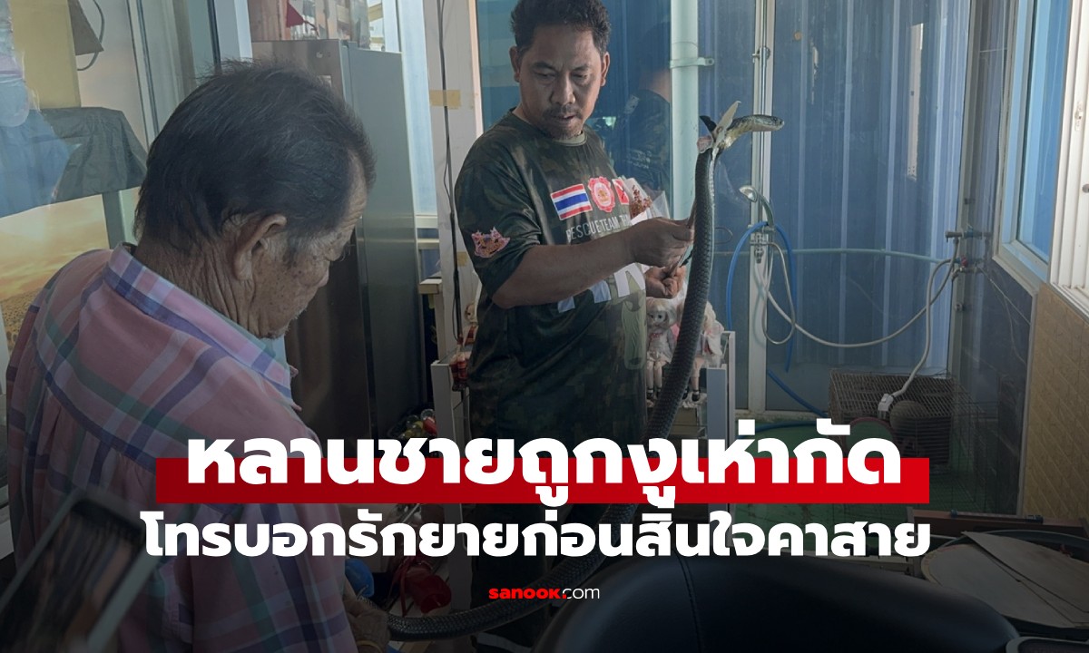 ยายช็อกใจสลาย! หลานชายโทรมาบอกรัก ก่อนบอกถูก "งูเห่า" กัด สิ้นใจคาสาย