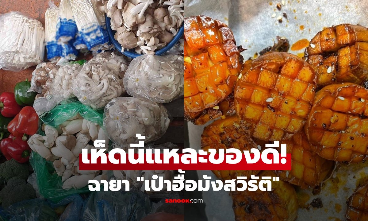 ไทยมีเกลื่อน! เห็ดฉายา "เป๋าฮื้อมังสวิรัติ" ล้ำค่าในราคาติดดิน กินเสริมภูมิ-หัวใจ-หลอดเลือด