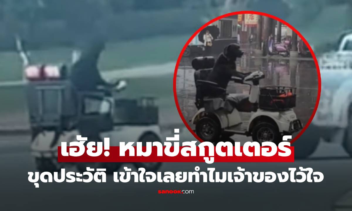 ไวรัล หมาดำซิ่งสกูตเตอร์บนถนน ตร.รุดสกัด ชาวเน็ตขุดประวัติ เข้าใจเลยทำไมเจ้าของไว้ใจ
