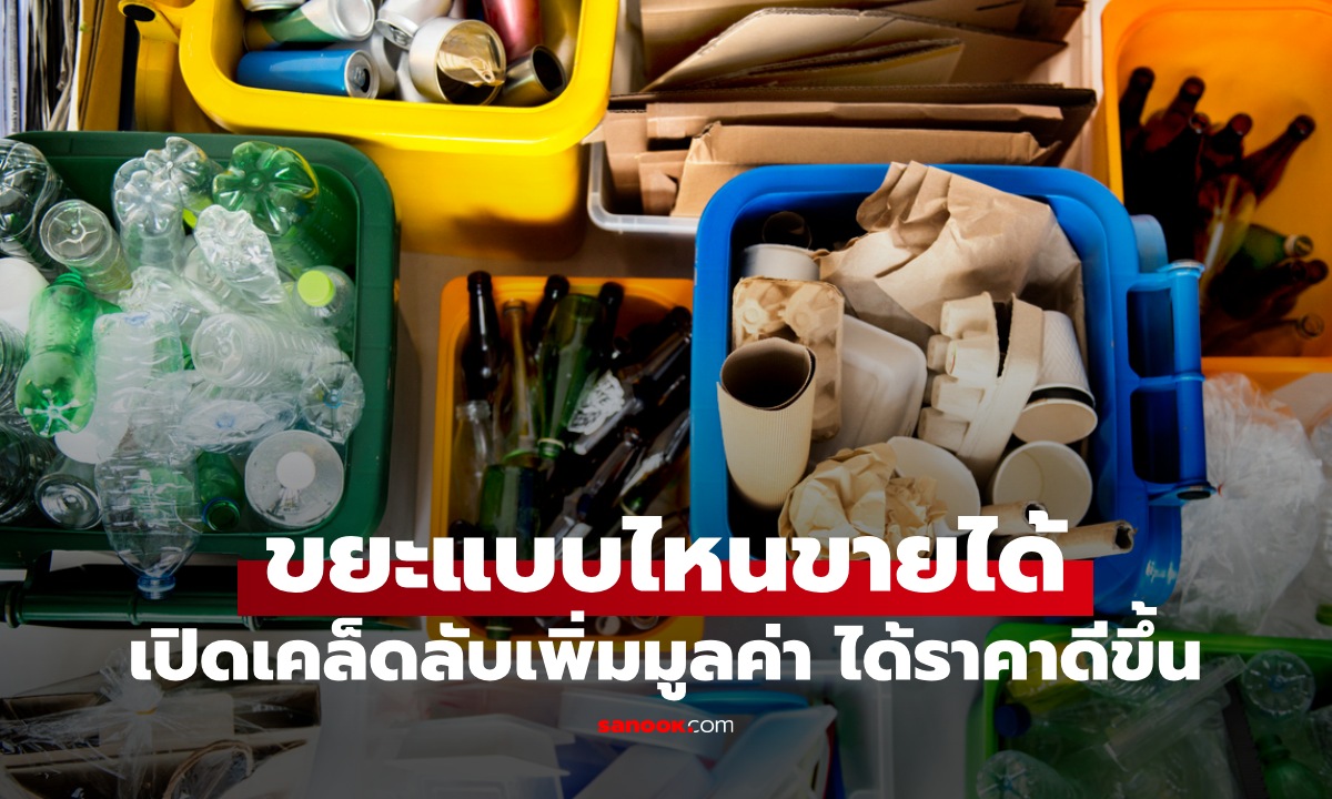 ขยะที่โรงงานรีไซเคิล "รับซื้อ-ไม่รับซื้อ" เปิดเคล็ดลับเพิ่มมูลค่าขยะ ขายได้ราคาดีขึ้น