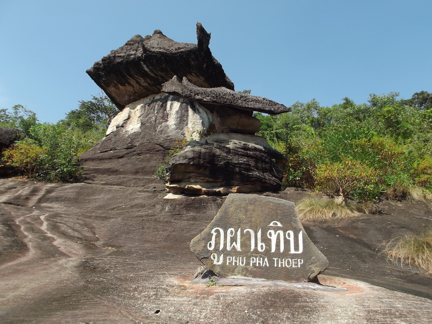 2021040233e2e65353818f826bbd0