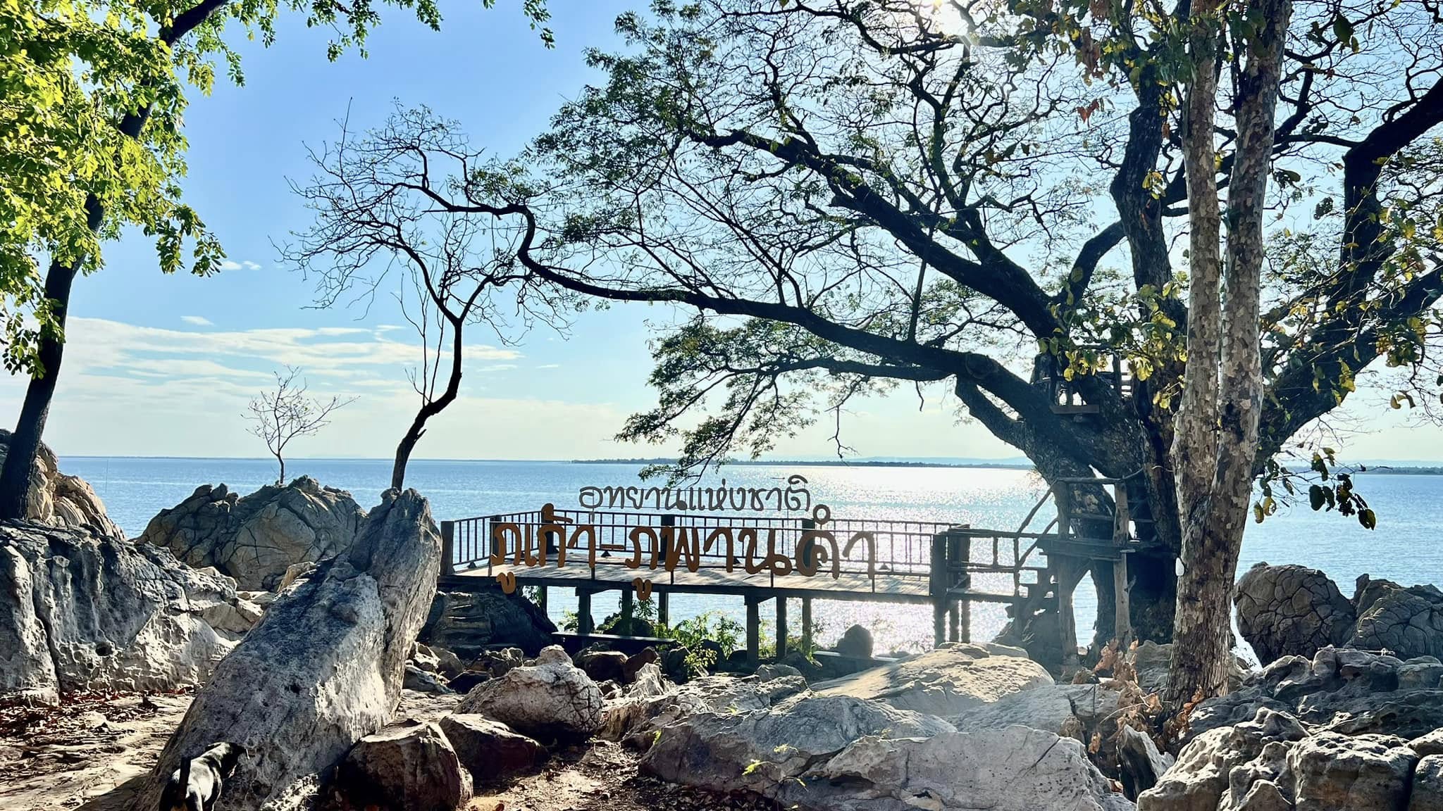 486790406_1066976885466886_22