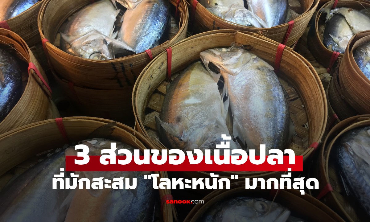 3 ส่วนของปลาที่มีปริมาณ "โลหะหนัก" สูงที่สุด แต่หลายคนไม่รู้ ชอบกินกันมาก!