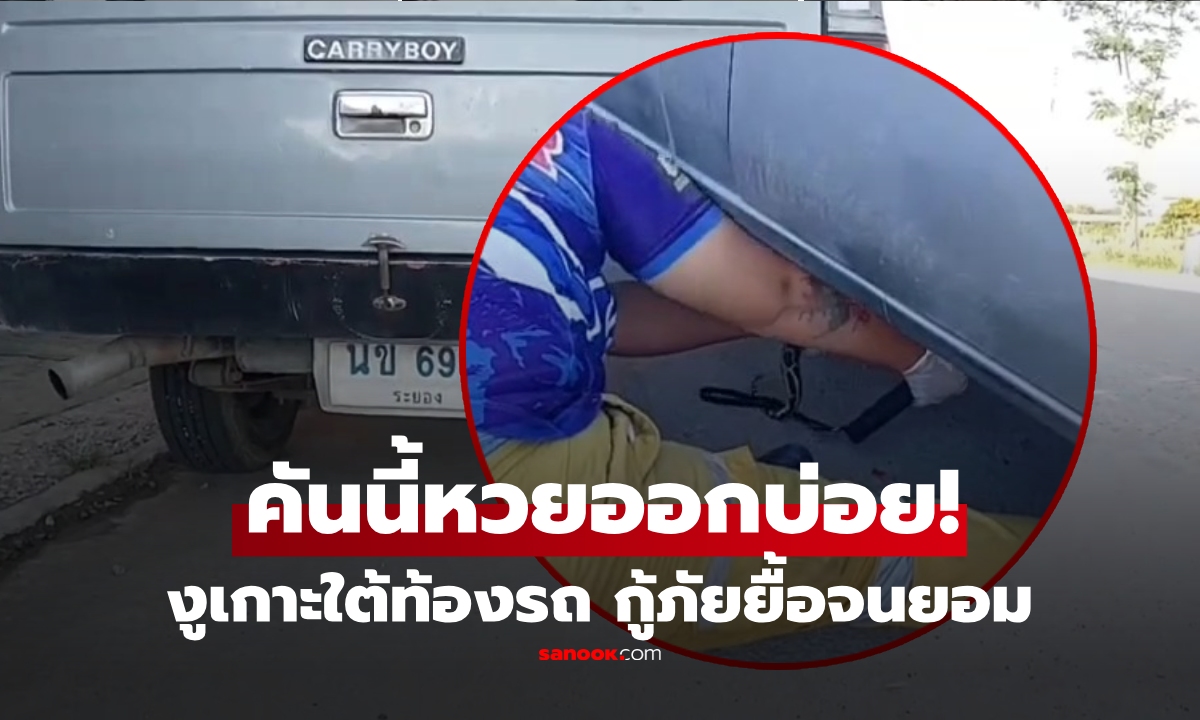ไม่รอด! เปิดคลิป "งูเกาะใต้รถ" เจอกู้ภัยสาวมือปราบ ยื้อจนต้องยอม เจ้าของบอกงวดนี้มาแน่