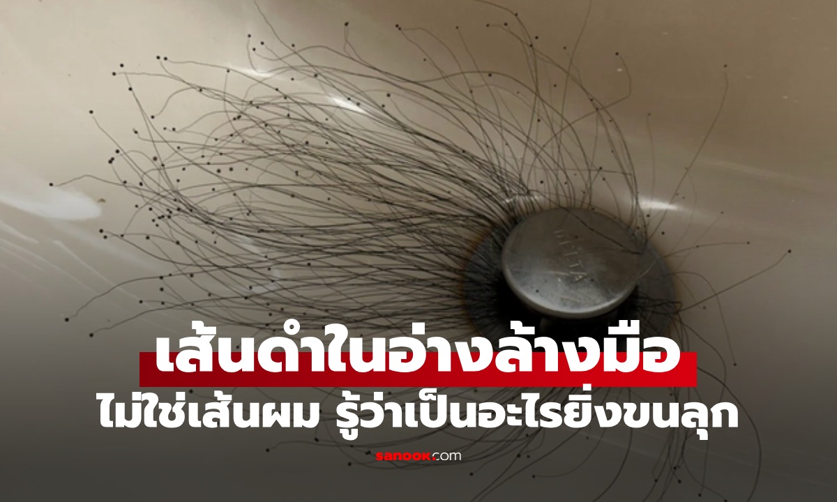 ไม่ใช่เส้นผม! กลับบ้านมาเจอ "เส้นดำ" งอกในอ่างล้างมือ รู้ว่าเป็นอะไรยิ่งสยอง