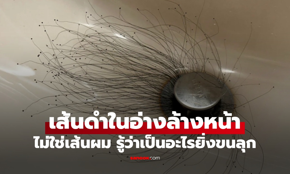 ไม่ใช่เส้นผม! กลับบ้านมาเจอ "เส้นดำ" งอกในอ่างล้างหน้า รู้ว่าเป็นอะไรยิ่งสยอง