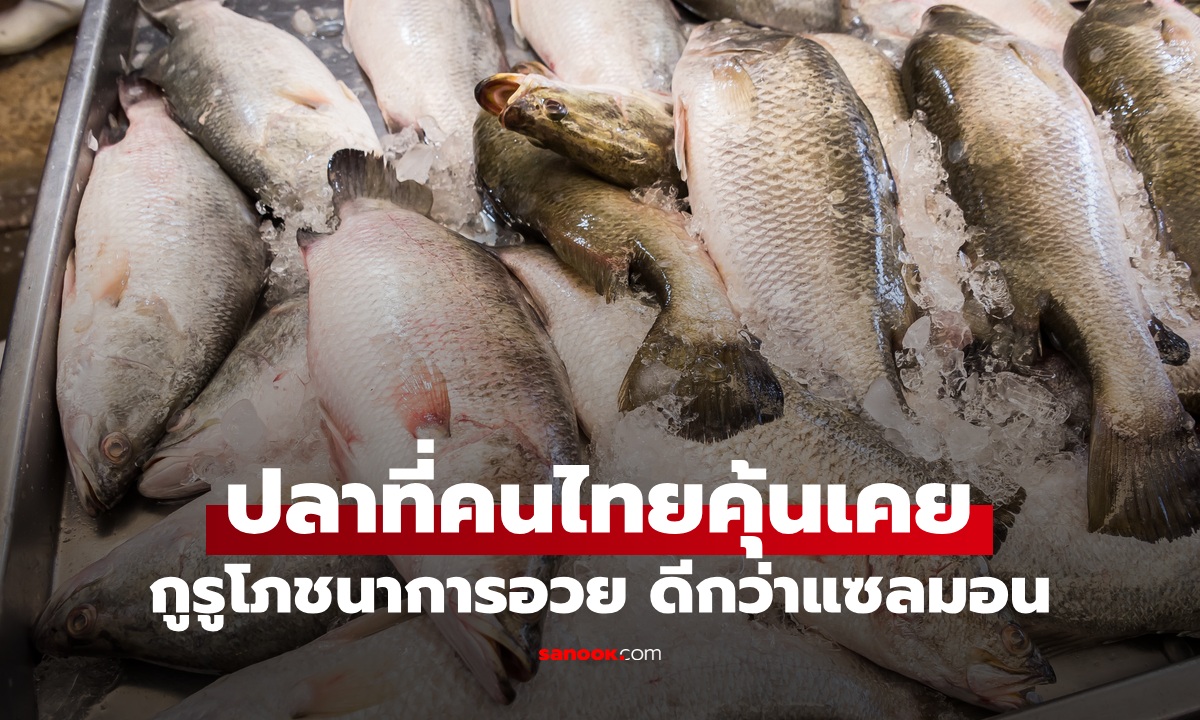 ปลาที่คนไทยคุ้นเคย อาหารที่ดีที่สุดในโลกอันดับ 3 ผู้เชี่ยวชาญอวย "ดีกว่าแซลมอน"