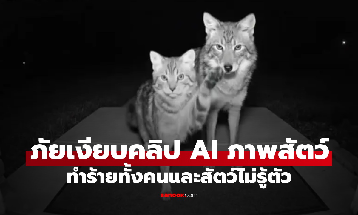 คลิปสัตว์ AI ระบาดทั่วโซเชียล นักวิจัยเตือน "ภัยเงียบ" ทำร้ายทั้งคนและสัตว์
