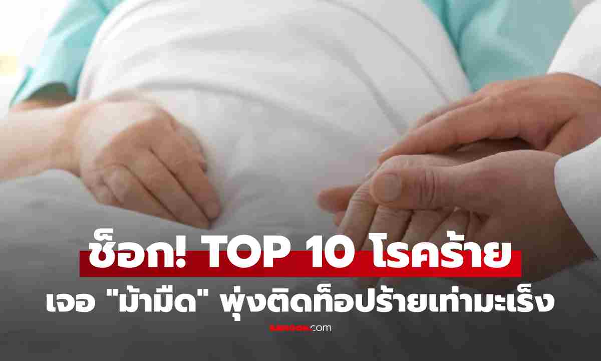 เปิด TOP10 โรคร้าย พบ "ม้ามืด" พุ่งติดอันดับคร่าชีวิตทั่วโลก อันตรายเทียบเท่า "มะเร็ง"