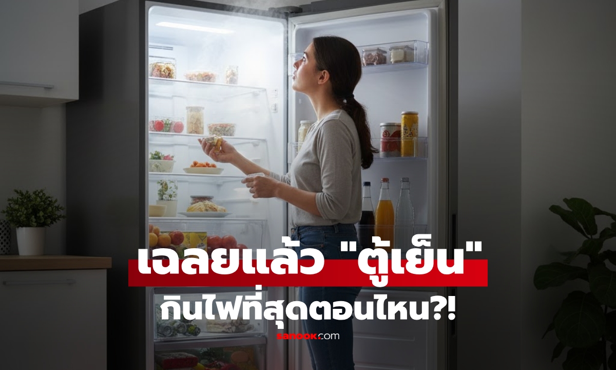 รู้ไว้ดีกว่า! เมื่อไหร่ที่ตู้เย็น "กินไฟมากสุด" ไม่ใช่ตอนแช่ของเยอะๆ แบบที่หลายคนเข้าใจ