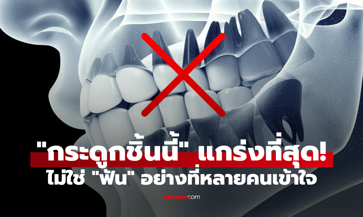 กระดูกส่วนไหนแข็งแกร่งที่สุดของร่างกาย? คำตอบไม่ใช่ "ฟัน" อย่างที่หลายคนเข้าใจ