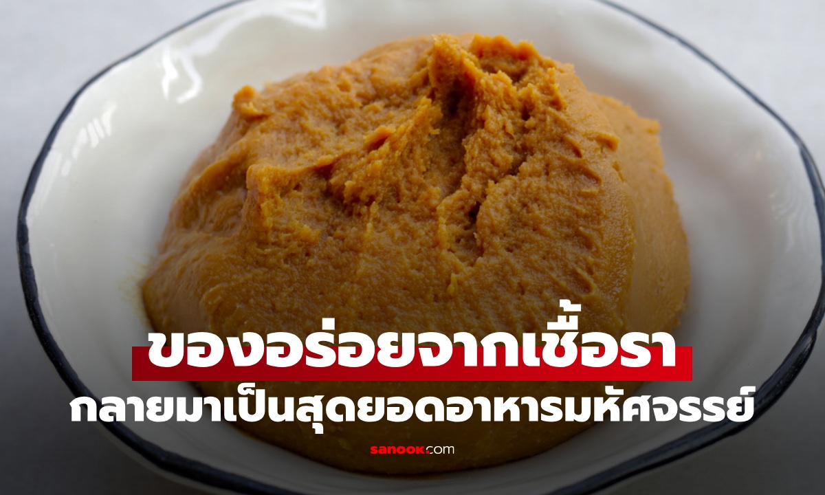 ของอร่อยจาก "เชื้อรา" กลายเป็นสุดยอดอาหารญี่ปุ่น เมนูมหัศจรรย์ที่คนไทยคุ้นเคย