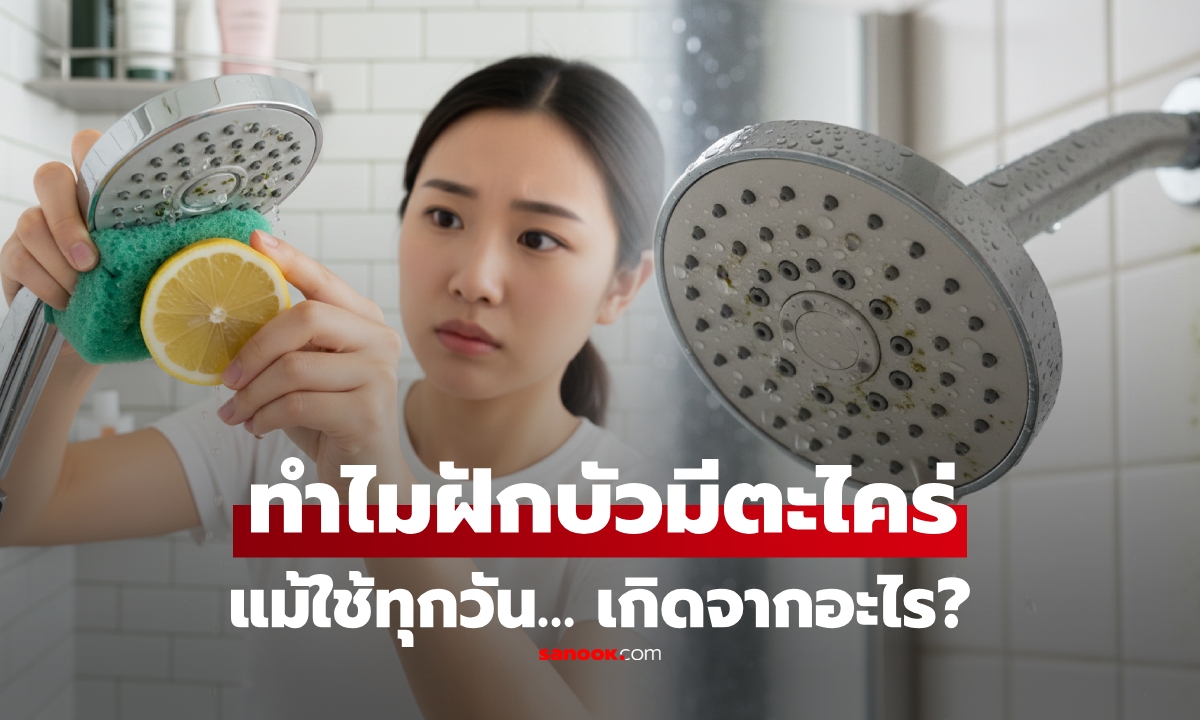 เฉลยแล้ว! ทำไมฝักบัวอาบน้ำ ถึงเกิด "ตะไคร่" ได้ง่ายๆ แม้ใช้งานทุกวัน น้ำชะล้างอยู่ประจำ
