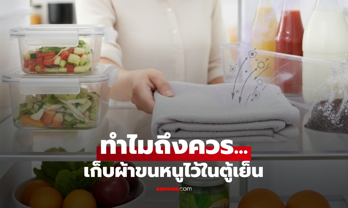 เคล็ดลับง่ายๆ แค่เก็บ "ผ้าขนหนู" ไว้ในตู้เย็น ดีกว่าใส่ถ่านดูดกลิ่น!