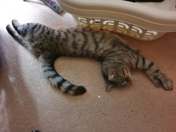 large-771699-20190330-095948