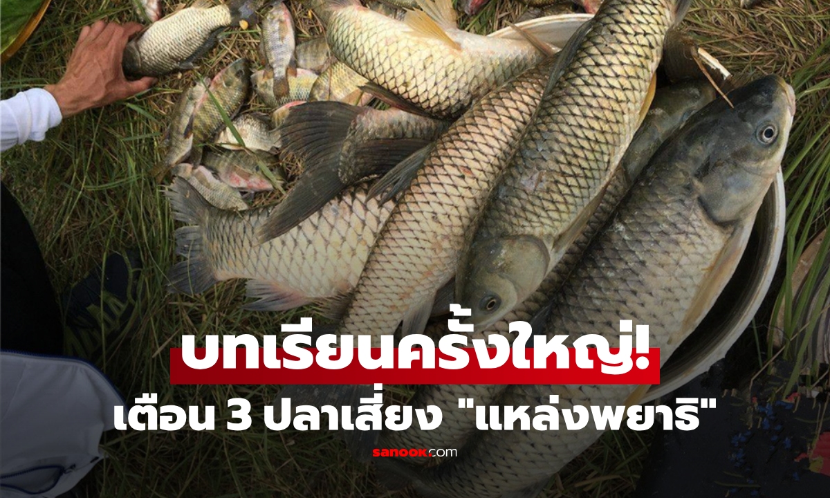 พ่อค้าเตือนญาติ  3 ปลาที่มัก "มีพยาธิ" เปิดชื่อชัดๆ ชนิดไหนเสี่ยงมาก ไม่ควรกิน!