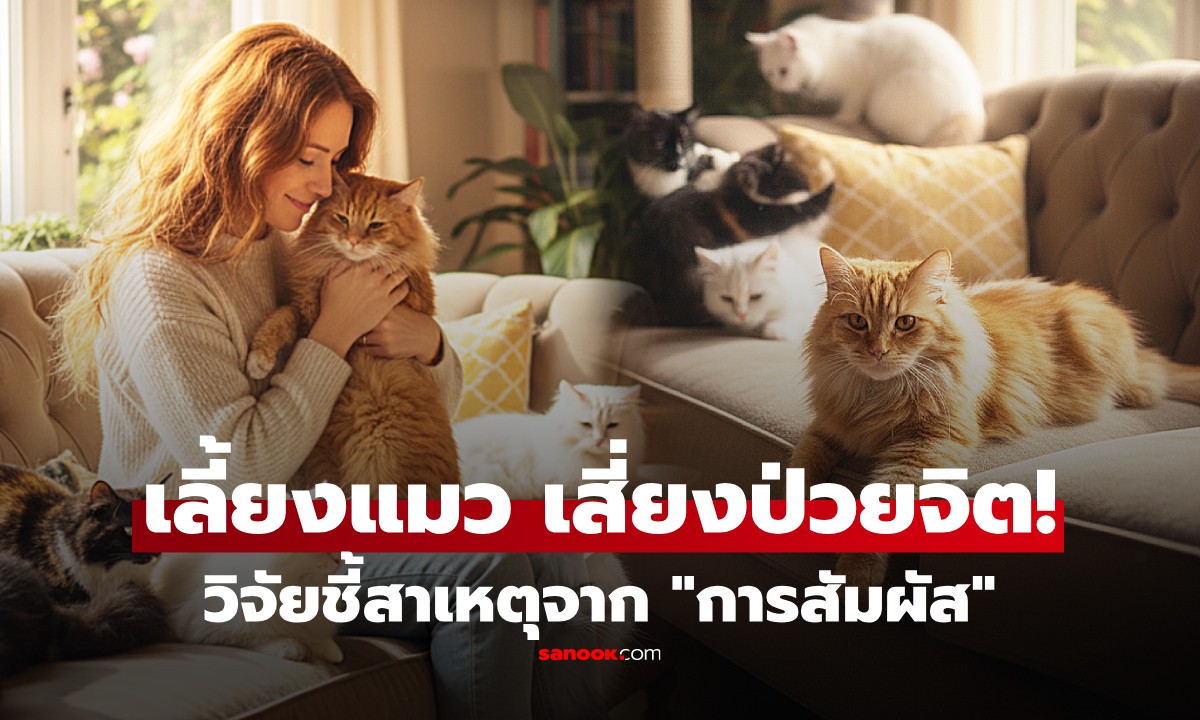 ทาสแมวช็อก! วิจัยชี้ "คนเลี้ยงแมว" เสี่ยงป่วยจิตเภทกว่าคนทั่วไป 2 เท่า จาก "การสัมผัส"