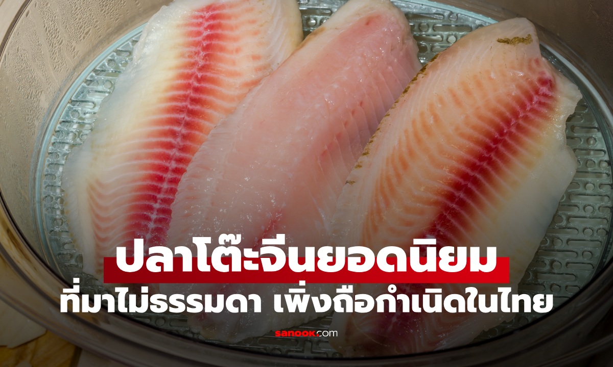 เปิดที่มา "ปลาโต๊ะจีน" ปลายอดนิยม ประโยชน์เยอะ เพิ่งถือกำเนิดในไทยไม่ถึง 30 ปี