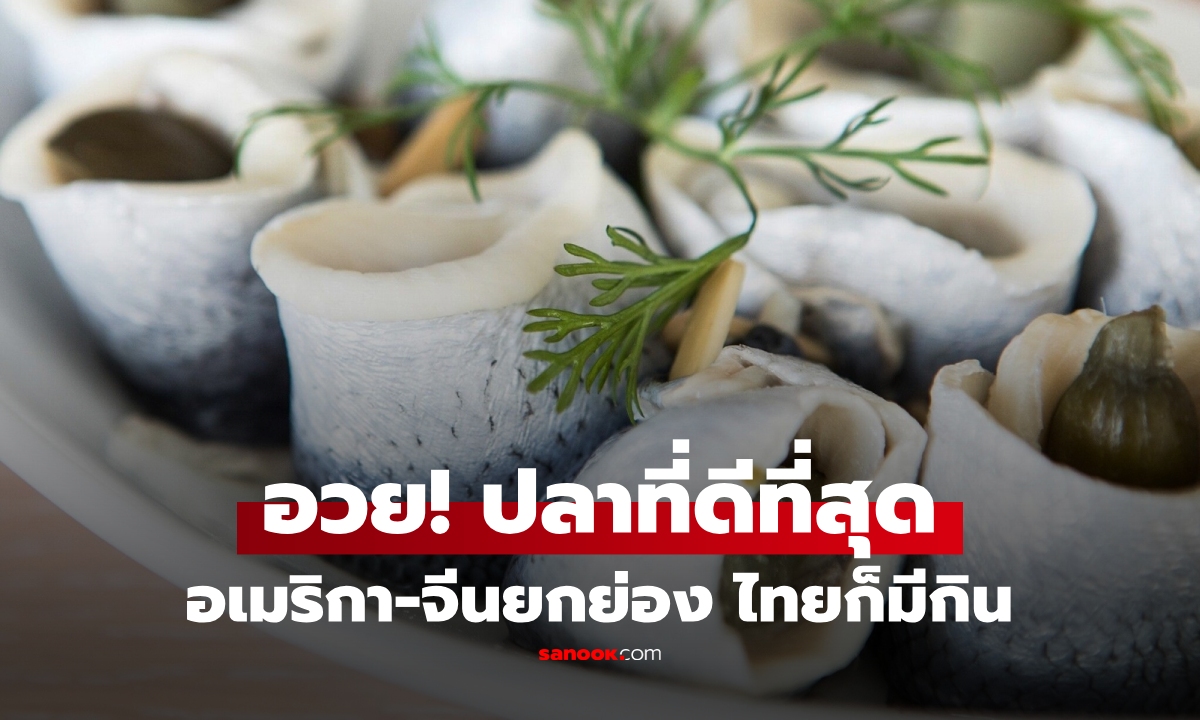 กูรูอเมริกายกย่อง "ปลาดีที่สุดในโลก" สายพันธุ์นี้ไทยก็มี แต่หลายคนไม่เคยกิน!