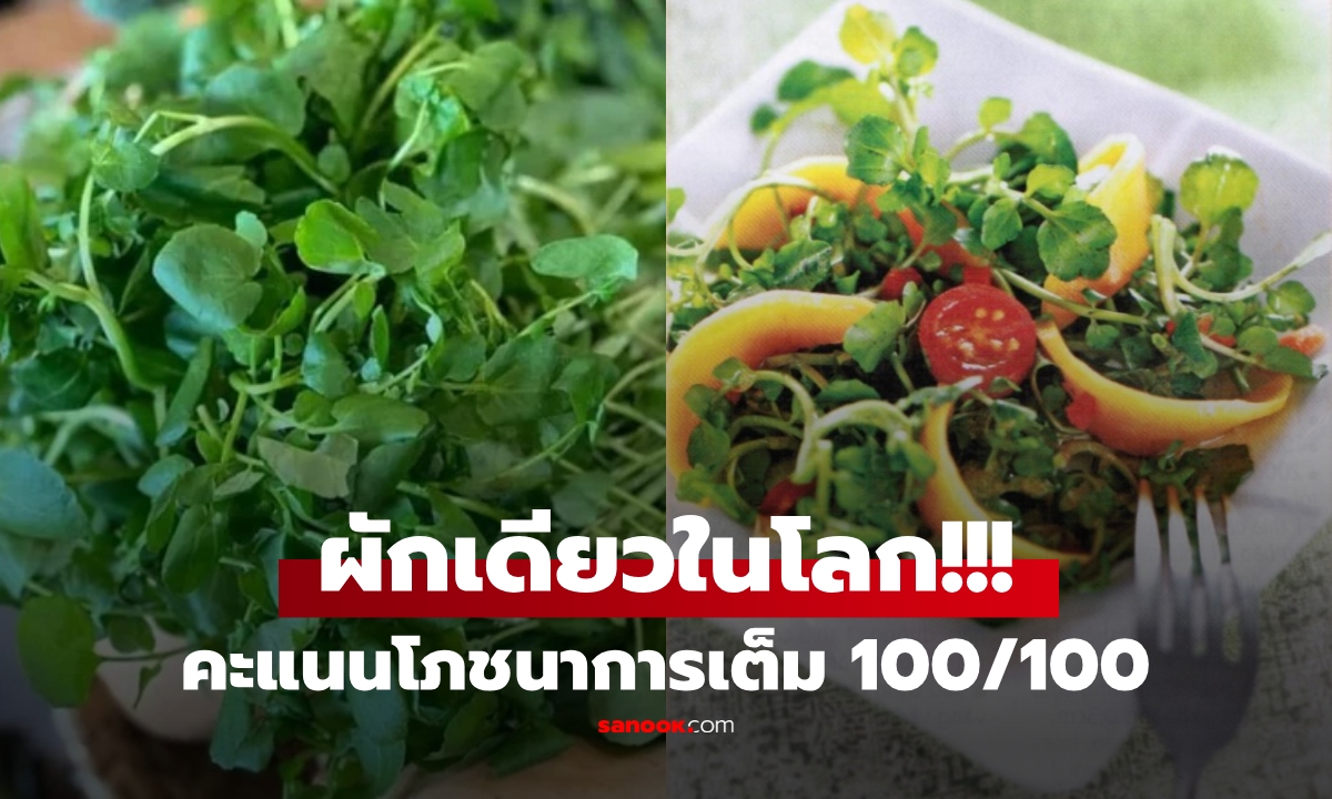 ผักเดียวในโลก! CDC สหรัฐฯ ให้คะแนนโภชนาการ 100/100 ซูเปอร์ฟู้ดต้านมะเร็ง