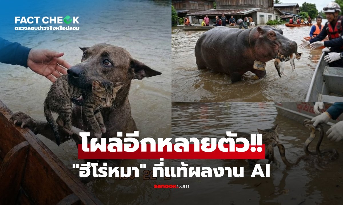 เช็กข่าวชัวร์ : "ฮีโร่หมาคาบลูกแมวหนีน้ำท่วม" ที่แท้ภาพ AI ล่าสุดโผล่อีกหลายตัว หมูเด้งก็มา!