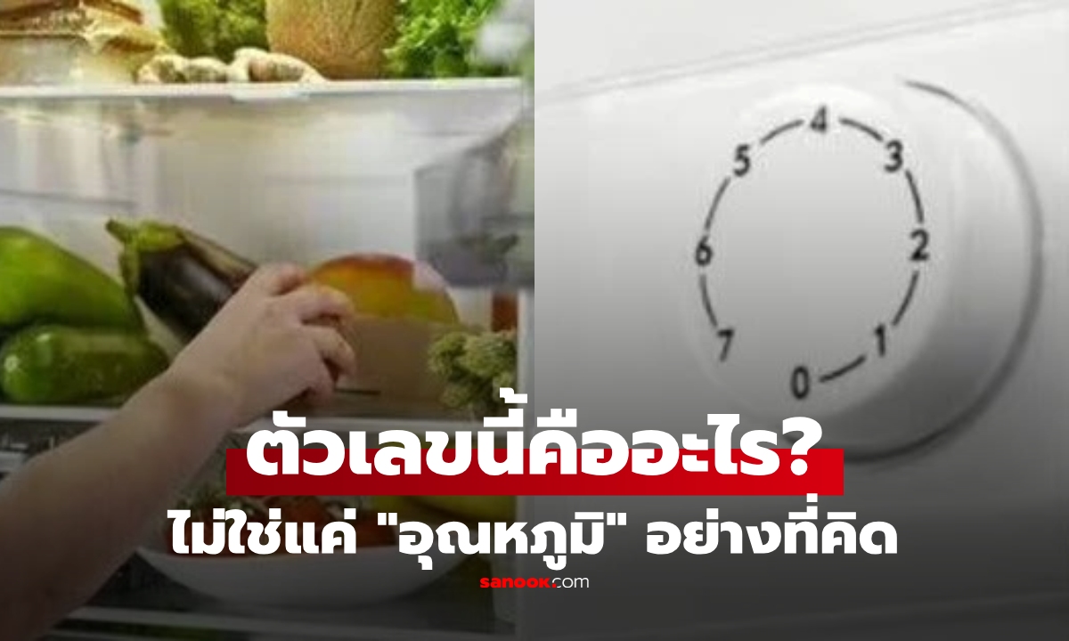 เปิดความลับ! ตัวเลข 1-5 บนปุ่มตู้เย็น ไม่ใช่ "องศาเซลเซียส" อย่างที่คิด เลขไหนเย็นสุด?