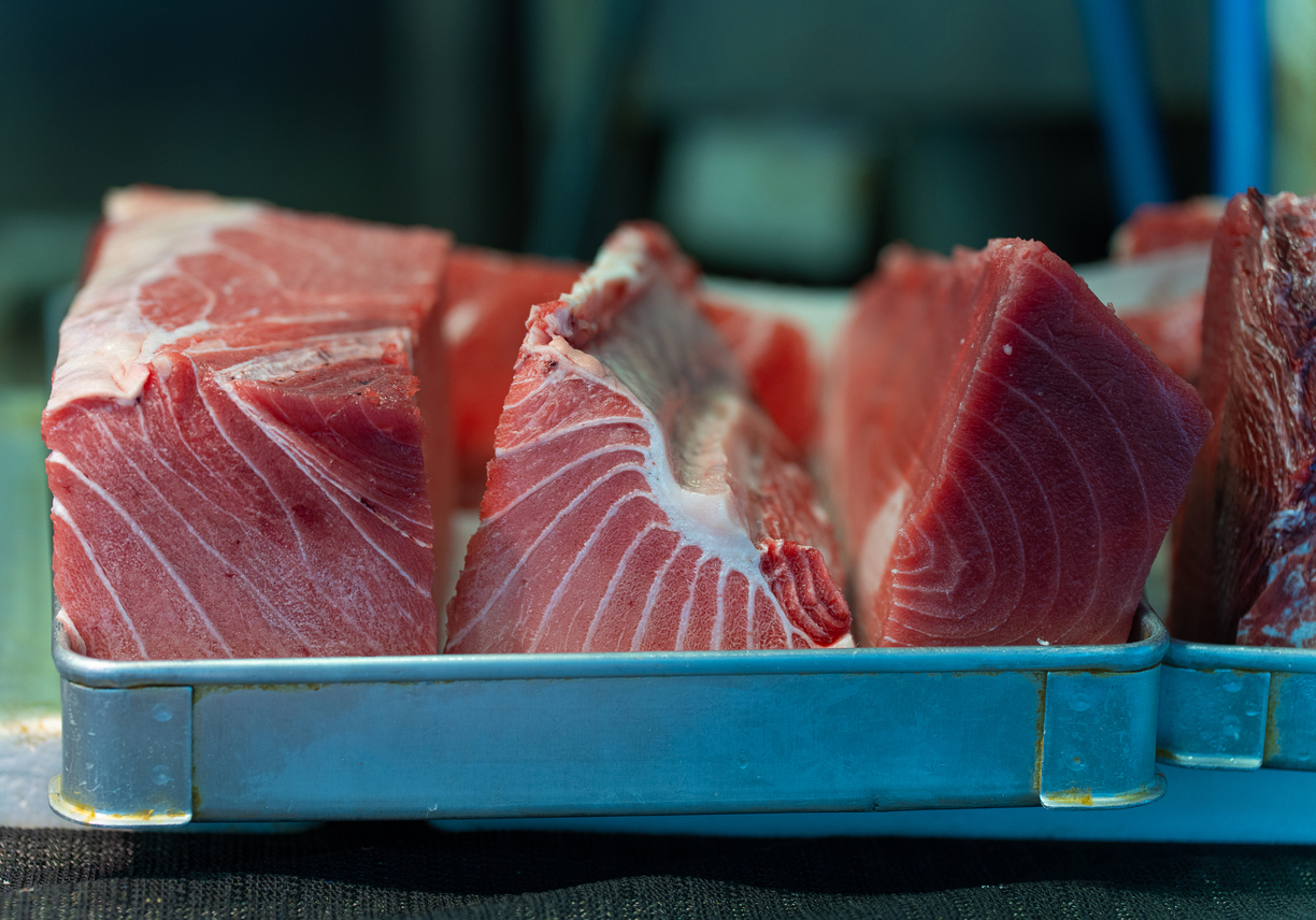 ปลาทูน่าครีบน้ำเงิน