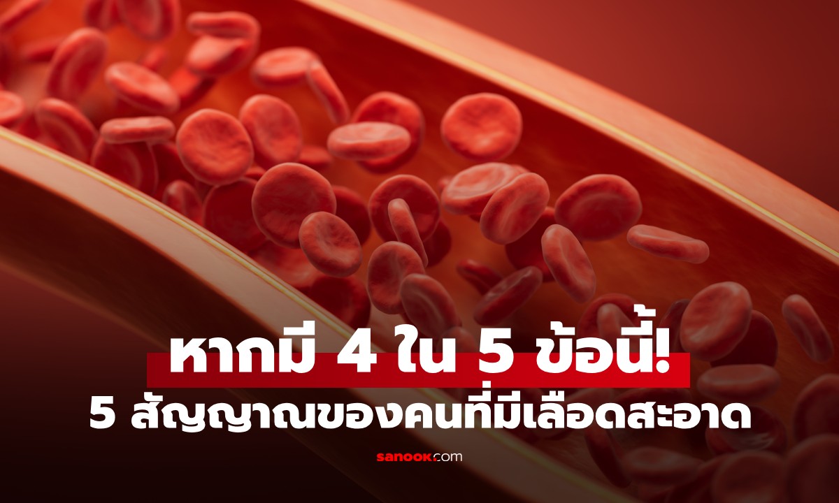 5 สัญญาณของคนที่มี "เลือดสะอาด" หากมี 4 ใน 5 ข้อนี้ ขอแสดงความยินดีด้วย!