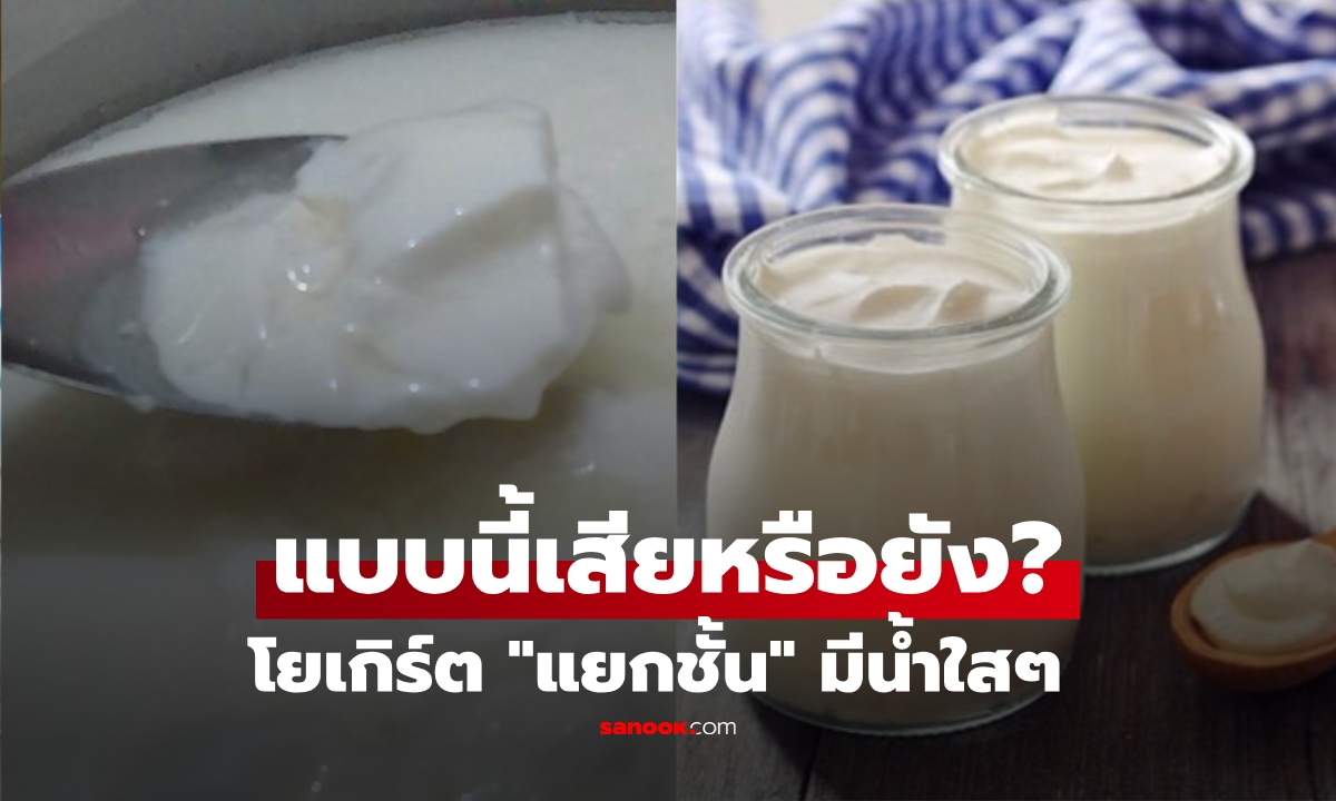 โยเกิร์ต "แยกชั้น" บูดหรือเปล่า? ไขข้อสงสัยของดี เจอน้ำใสๆ ควรกินต่อหรือพอแค่นี้?