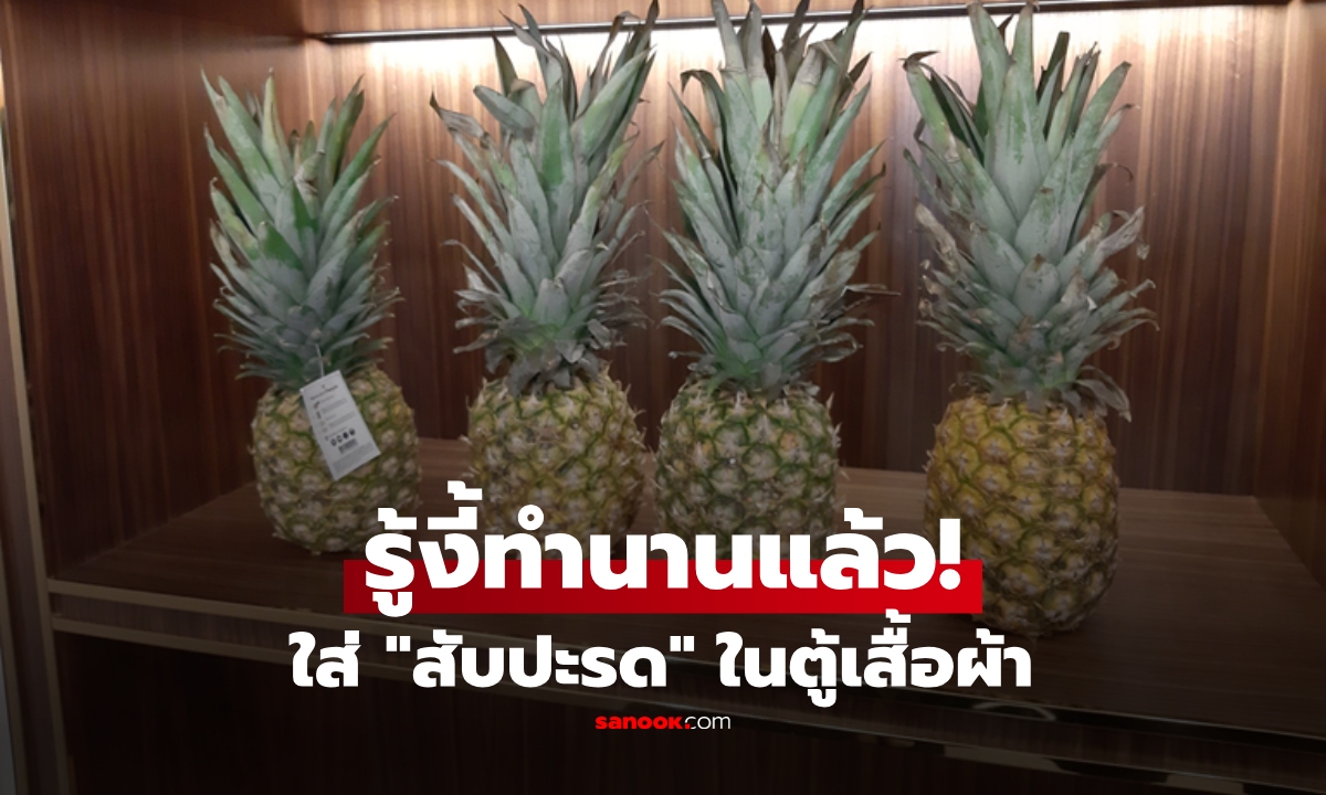 ทำไมต้องใส่ "สับปะรด" ไว้ในตู้เสื้อผ้า? เคล็ดลับแม่บ้านที่ฟังดูแปลก แต่ช่วยชีวิตได้จริง