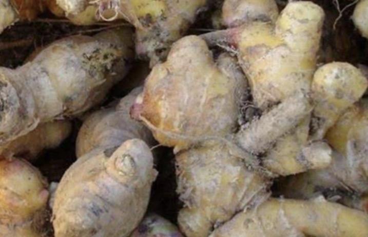 ผัก 4 ชนิด "มีพิษ" ที่ทำลาย "ตับ" แบบเงียบๆ แต่กลับพบบนโต๊ะอาหารหลายครอบครัว