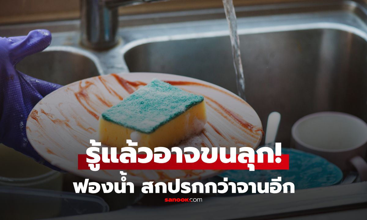 อย่าสักแต่ล้าง! "ฟองน้ำล้างจาน" สกปรกกว่าจานซะอีก วิธีจัดการให้ฟองน้ำสะอาด ปลอดเชื้อโรค