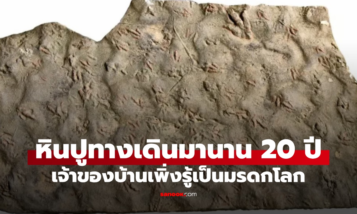 หินปูทางเดินเป็นรอยเหมือน "ตีนไก่" ผ่านไป 20 ปีเพิ่งรู้ความจริง มรดกสำคัญของโลก