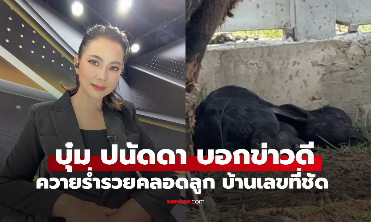 "บุ๋ม ปนัดดา" แจ้งข่าวดีควายร่ำรวยออกลูก เปิดบ้านเลขที่องค์กรทำดี เลขสวยมาก