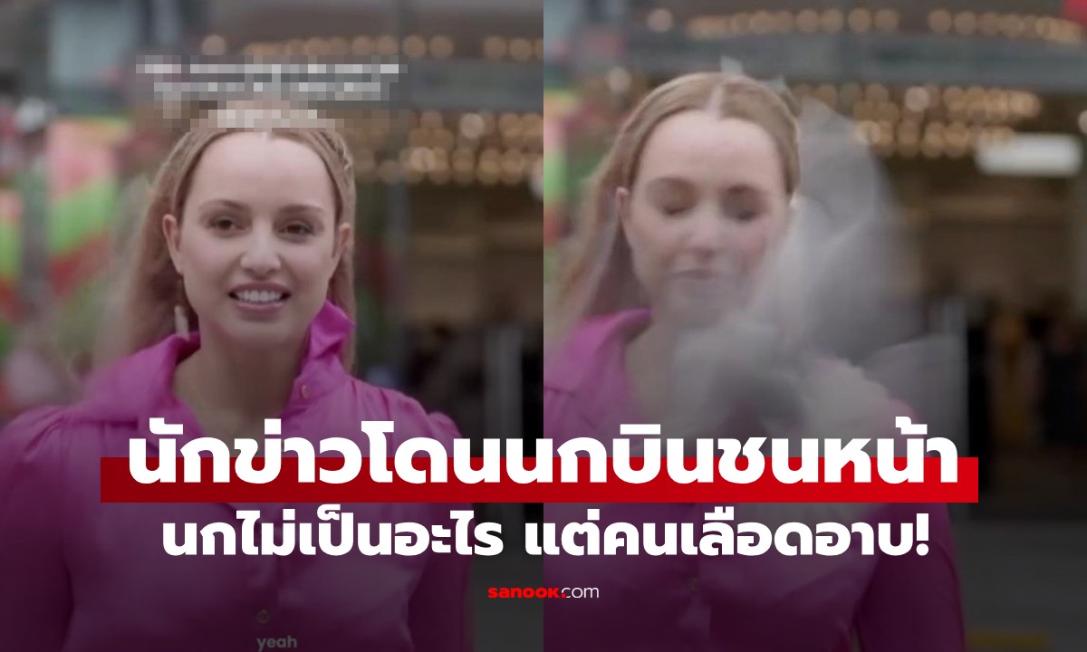 คลิปนาทีระทึก! นักข่าวโดนนกบินชนหน้าเต็มแรง เลือดอาบขณะยืนรายงานข่าว