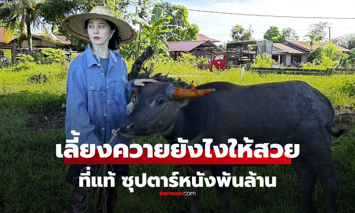 ไวรัล หญิงชาวนาเลี้ยงควาย สวยออร่าพุ่งเกินเรื่องเกินราว พอซูมดู อ้าว! "ซุปตาร์พันล้าน!"