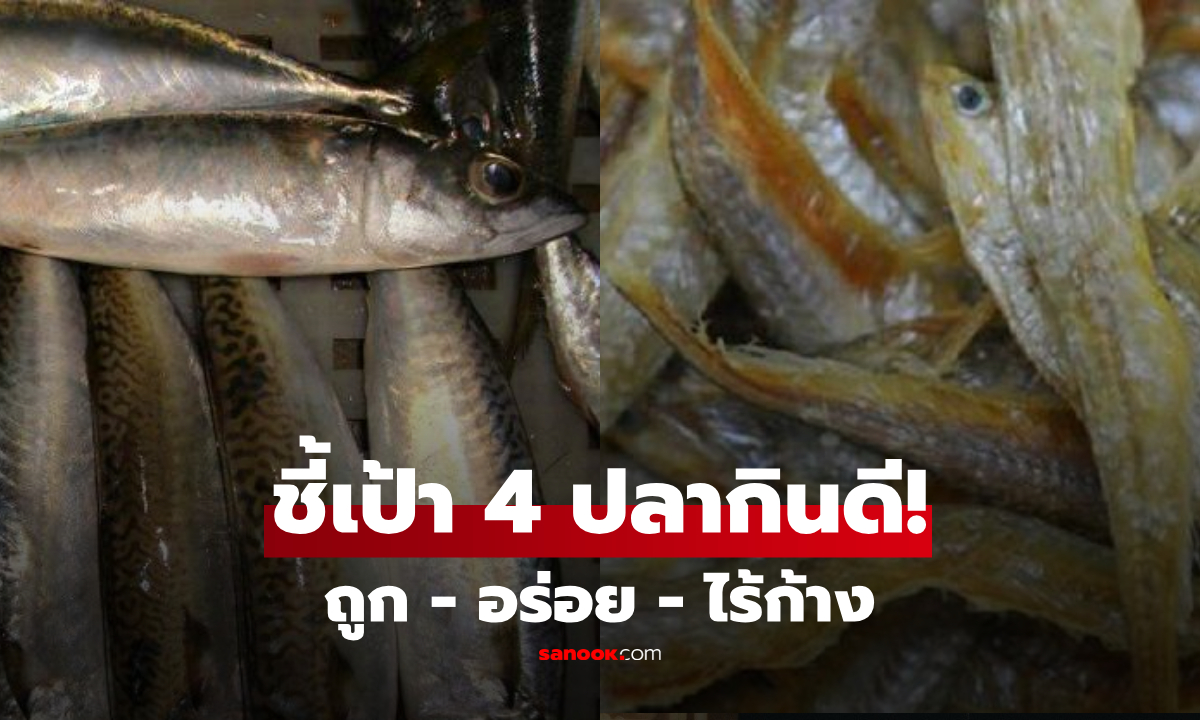 ถูกและดีมีจริง! รวมมาให้ 4 ปลาทะเล "ก้างน้อย-เนื้อหวาน-ไม่คาว" อร่อยจนต้องขอเติมข้าว
