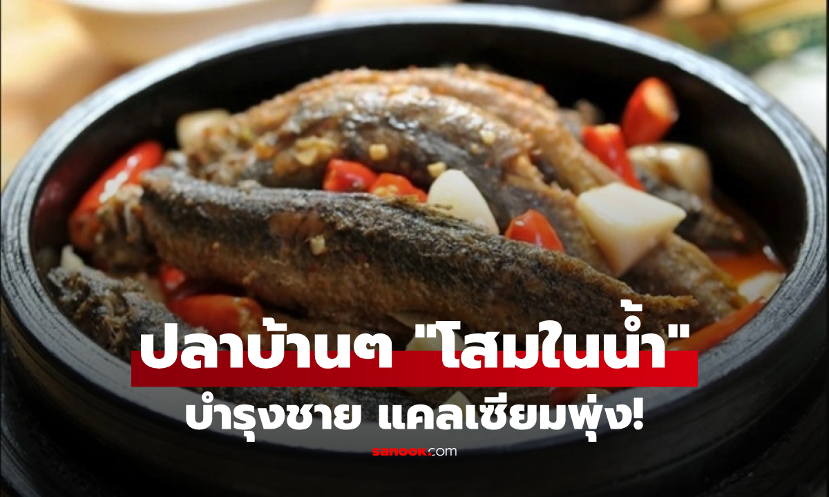 ไม่ใช่ปลาไหล! แต่ต่างชาติอวยเป็น "โสมในน้ำ" บำรุงท่านชายฟิตปั๋ง แคลเซียมพุ่งทุกวัย!!