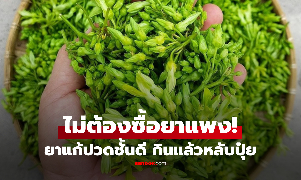 2 ผักบ้านๆ ช่วย "ปิดสวิตช์" อาการปวดหัว-นอนไม่หลับ สรรพคุณล้ำเลิศที่คนไทยมองข้าม!!