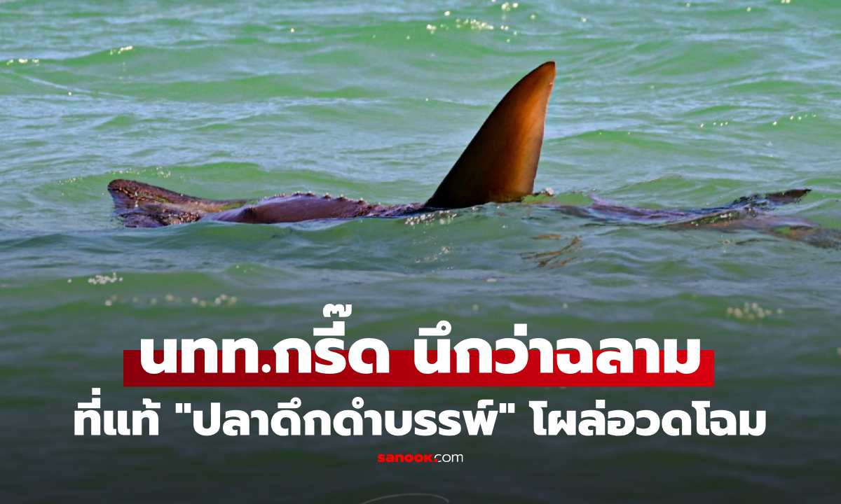 แตกตื่นนึกว่าฉลาม! พบ "ปลาดึกดำบรรพ์ยักษ์" โผล่อ่าวประจวบฯ จนท.เฝ้าระวัง ผลักดันสู่ธรรมชาติ