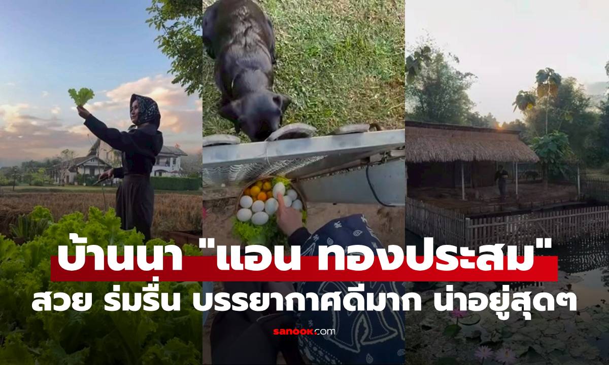 เปิดบ้านนา "แอน ทองประสม" ที่เชียงใหม่ สวย ร่มรื่น บรรยากาศดีมาก น่าอยู่สุดๆ