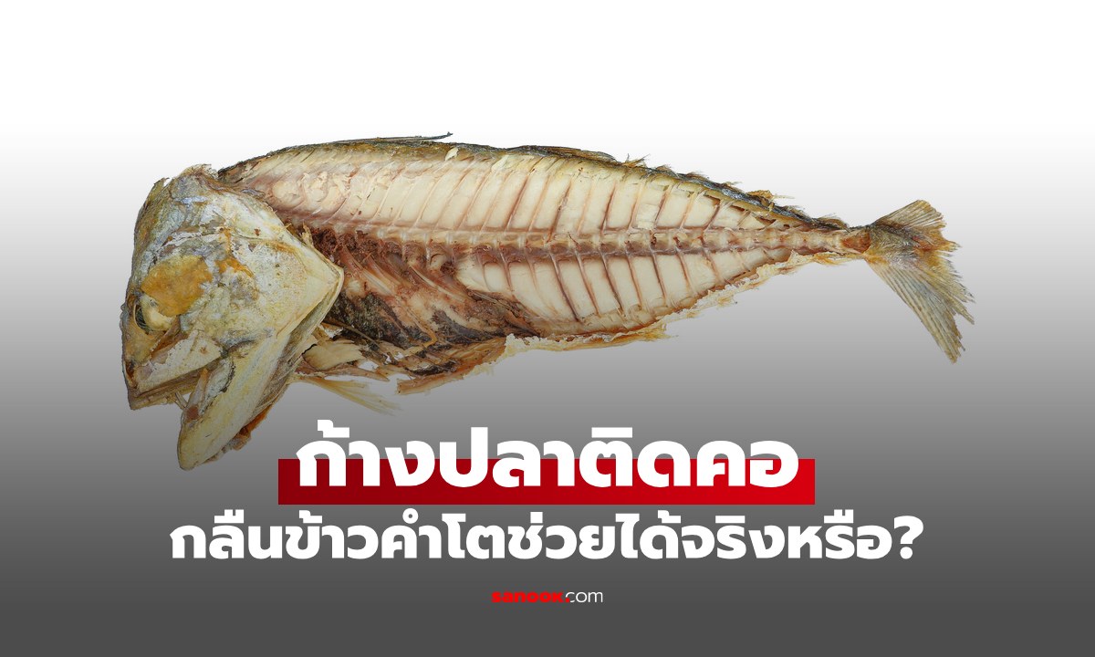 เช็กข่าวชัวร์ : ก้างปลาติดคอ กลืนข้าวคำโต ช่วยได้จริงหรืออันตรายกว่าเดิม